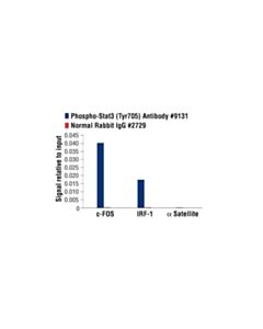 Cell Signaling Phospho-Stat3 (Tyr705) Antibody