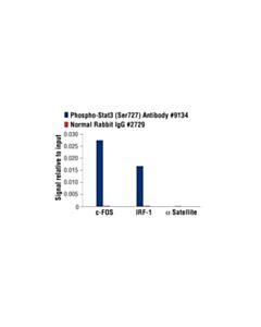 Cell Signaling Phospho-Stat3 (Ser727) Antibody