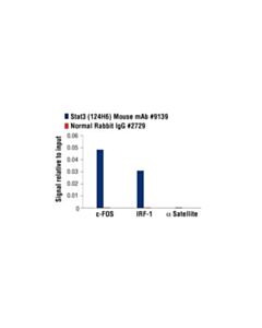 Cell Signaling Stat3 (124h6) Mouse mAb