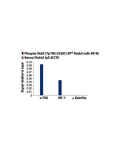 Cell Signaling Phospho-Stat3 (Tyr705) (D3a7) Xp Rabbit mAb