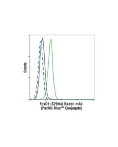 Cell Signaling Foxo1 (C29h4) Rabbit mAb (Pacific Blue Conjugate)