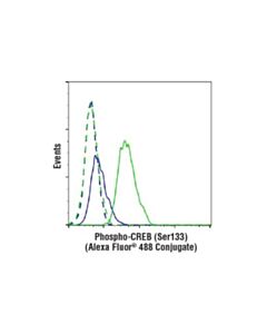 Cell Signaling Phospho-Creb (Ser133) (87g3) Rabbit mAb (Alexa Fluor 488 Conjugate)