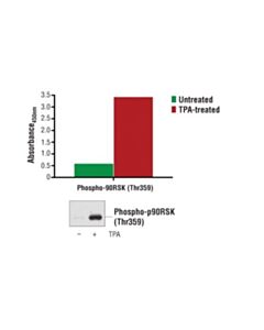 Cell Signaling Pathscan Phospho-P90rsk (Thr359) Sandwich Elisa Kit