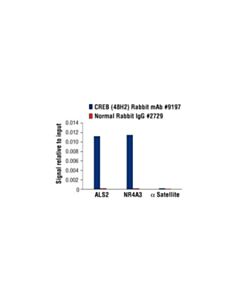 Cell Signaling Creb (48h2) Rabbit mAb