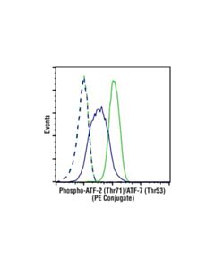Cell Signaling Phospho-Atf-2 (Thr71)/Atf-7 (Thr53) (A8j7p) Rabbit mAb (PE Conjugate)