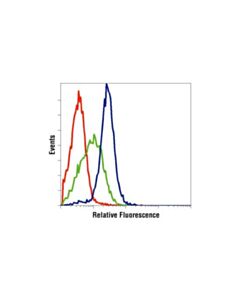 Cell Signaling Phospho-P38 Mapk (Thr180/Tyr182) Antibody