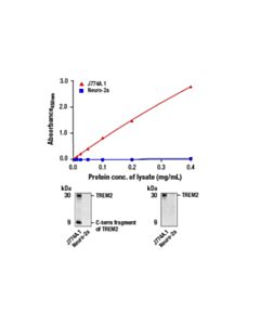 Cell Signaling Fastscan Trem2 (Full-Length) Elisa Kit