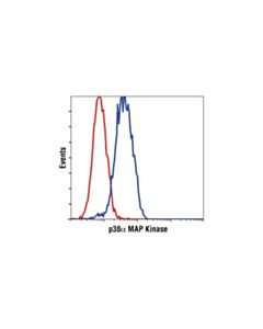 Cell Signaling P38alpha Mapk (L53f8) Mouse mAb