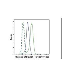 Cell Signaling Phospho-Sapk/Jnk (Thr183/Tyr185) (G9) Mouse mAb