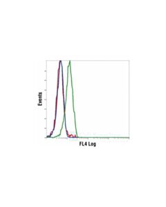 Cell Signaling Phospho-Sapk/Jnk (Thr183/Tyr185) (G9) Mouse mAb (Alexa Fluor 647 Conjugate)