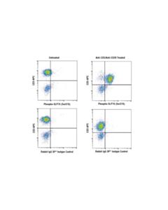 Cell Signaling Phospho-Slp-76 (Ser376) (D7s1k) Rabbit mAb