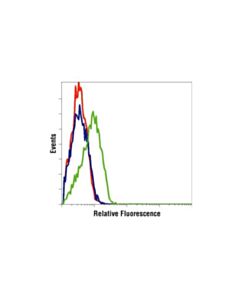 Cell Signaling Phospho-Akt (Ser473) Antibody
