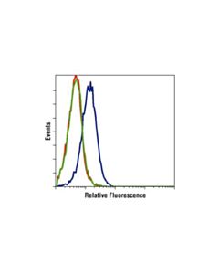 Cell Signaling Phospho-Akt (Thr308) Antibody