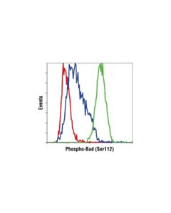 Cell Signaling Phospho-Bad (Ser112) Antibody