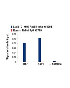Cell Signaling Stat Antibody Sampler Kit Ii