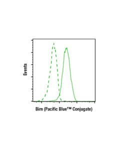 Cell Signaling Bim (C34c5) Rabbit mAb (Pacific Blue™ Conjugate)