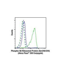 Cell Signaling Phospho-S6 Ribosomal Protein (Ser240/244) (D68f8) Xp ® Rabbit mAb (Alexa Fluor ® 350 Conjugate)