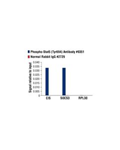 Cell Signaling Phospho-Stat5 (Tyr694) Antibody