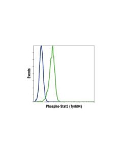 Cell Signaling Phospho-Stat5 (Tyr694) (C11c5) Rabbit mAb