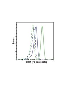 Cell Signaling Cd81 (D5o2q) Rabbit mAb (Mouse Specific) (PE Conjugate)