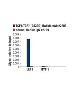 Cell Signaling Tcf/Lef Family Antibody Sampler Kit