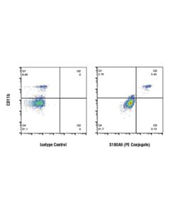 Cell Signaling S100a9 (D3u8m) Rabbit mAb (Rodent Specific) (PE Conjugate)