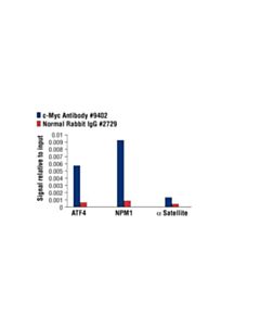 Cell Signaling C-Myc Antibody