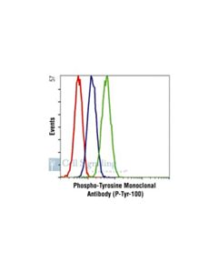 Cell Signaling Phospho-Tyrosine Mouse mAb (P-Tyr-100)