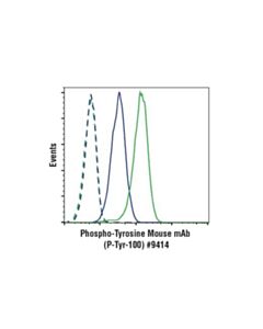 Cell Signaling Phospho-Tyrosine Mouse mAb (P-Tyr-100) (Alexa Fluor 488 Conjugate)