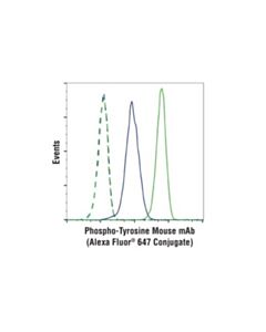Cell Signaling Phospho-Tyrosine Mouse mAb (P-Tyr-100) (Alexa Fluor 647 Conjugate)