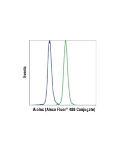 Cell Signaling Aiolos (D1c1e) Rabbit mAb (Alexa Fluor 488 Conjugate)
