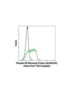 Cell Signaling Phospho-S6 Ribosomal Protein (Ser240/244) (D68f8) Xp Rabbit mAb (Alexa Fluor 594 Conjugate)