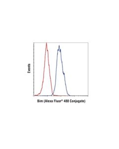 Cell Signaling Bim (C34c5) Rabbit mAb (Alexa Fluor 488 Conjugate)