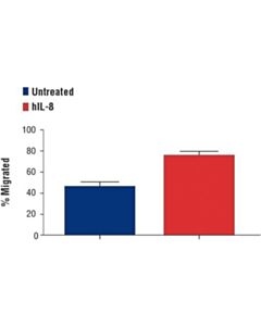 Cell Signaling Human Interleukin-8 (Hil-8)