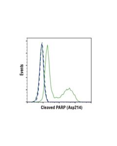 Cell Signaling Cleaved Parp (Asp214) (D6x6x) Rabbit mAb (Rodent Specific)