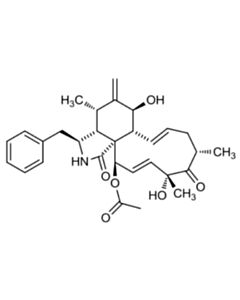 Cell Signaling Cytochalasin D
