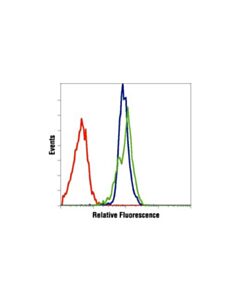 Cell Signaling Caspase-9 Antibody (Human Specific)