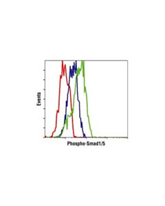 Cell Signaling Phospho-Smad1/5 (Ser463/465) (41d10) Rabbit mAb