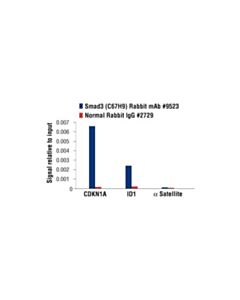 Cell Signaling Smad3 (C67h9) Rabbit mAb