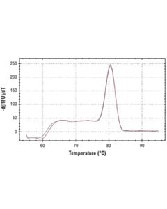 Cell Signaling Simplechip Human Foxn3 Intron 3 Primers