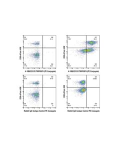Cell Signaling 4-1bb/Cd137/Tnfrsf9 (D2z4y) Rabbit mAb (PE Conjugate)