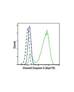 Cell Signaling Cleaved Caspase-3 (Asp175) (D3e9) Rabbit mAb