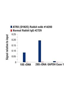 Cell Signaling Atrx/Daxx Antibody Sampler Kit