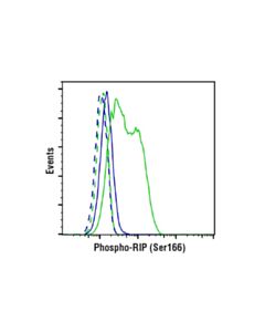 Cell Signaling Phospho-Rip (Ser166) (D8i3a) Rabbit mAb (BSA And Azide Free)