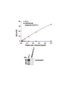 Cell Signaling Pathscan ® Total Gasdermin D Chemiluminescent Sandwich ELISA Kit