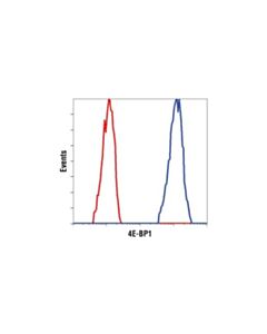 Cell Signaling 4e-Bp1 (53h11) Rabbit mAb