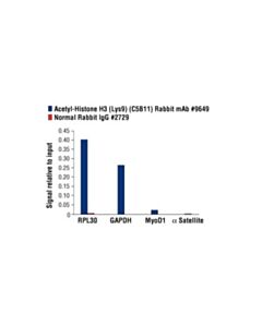Cell Signaling Acetyl-Histone H3 (Lys9) (C5b11) Rabbit mAb