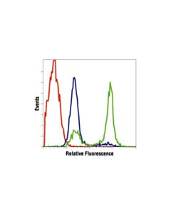 Cell Signaling Cleaved Caspase-3 (Asp175) Antibody