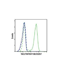 Cell Signaling Taci/Tnfrsf13b/Cd267 (E1d1p) Rabbit mAb