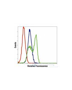 Cell Signaling Cleaved Caspase-3 (Asp175) (5a1e) Rabbit mAb